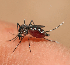 AI-powered mosquito surveillance drone monitoring vector-borne disease hotspots in an urban area